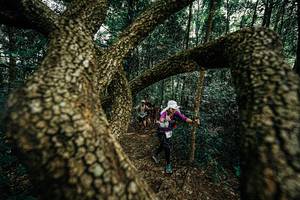 BIB: 
                            <button type="button" onclick="openModal(25393177)" class="btn btn-primary btn-sm float-right btn-popup" data-toggle="modal" data-target=".modal-high-quality">
                        <i class="fas fa-shopping-cart"></i> Add to Cart
                    </button>
                                            <button type="button" onclick="isThisMe(25393177, true)" class="btn btn-success btn-sm float-right btn-popup btn-isme hidden" data-toggle="tooltip" data-placement="bottom" title="นี่คือรูปของคุณใช่ไหม คลิกที่นี่เพื่อเอาเข้าอัลบั้ม">
                        <i class="fas fa-plus"></i> Add to album
                    </button>
                    <button type="button" onclick="isThisMe(25393177, false)" class="btn btn-warning btn-sm float-right btn-popup btn-isnotme hidden">
                        <i class="fas fa-ban"></i> Remove from album
                    </button>